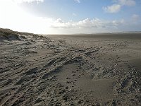 foto 039